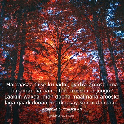 Picture 03 - Matayos 9:15 SOM - Markaasaa Ciise ku yidhi, Dadka aroosku ma - Bible Verse Picture