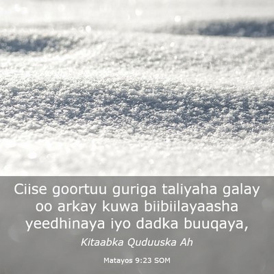 Picture 03 - Matayos 9:23 SOM - Ciise goortuu guriga taliyaha galay oo arkay kuwa - Bible Verse Picture