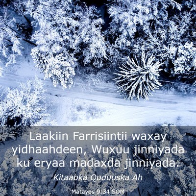 Picture 03 - Matayos 9:34 SOM - Laakiin Farrisiintii waxay yidhaahdeen, Wuxuu - Bible Verse Picture