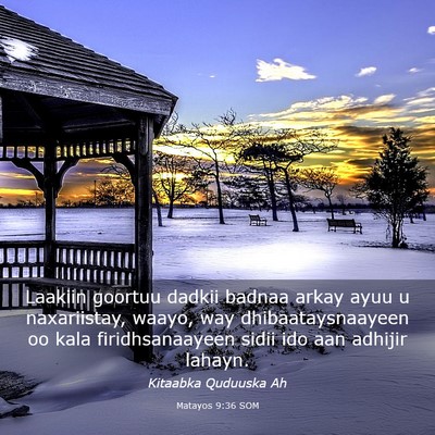 Picture 03 - Matayos 9:36 SOM - Laakiin goortuu dadkii badnaa arkay ayuu u - Bible Verse Picture