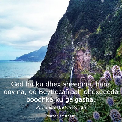 Picture 03 - Miikaah 1:10 SOM - Gad ha ku dhex sheegina, hana ooyina, oo - Bible Verse Picture