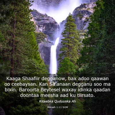 Picture 03 - Miikaah 1:11 SOM - Kaaga Shaafiir degganow, bax adoo qaawan oo - Bible Verse Picture