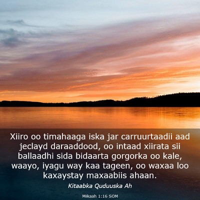 Picture 03 - Miikaah 1:16 SOM - Xiiro oo timahaaga iska jar carruurtaadii aad - Bible Verse Picture