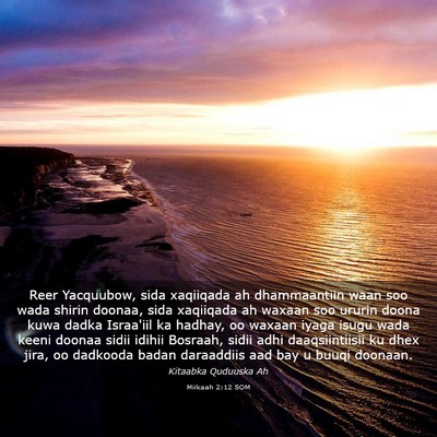 Picture 03 - Miikaah 2:12 SOM - Reer Yacquubow, sida xaqiiqada ah dhammaantiin - Bible Verse Picture