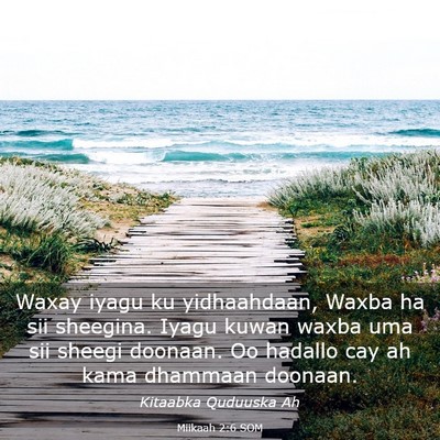 Picture 03 - Miikaah 2:6 SOM - Waxay iyagu ku yidhaahdaan, Waxba ha sii - Bible Verse Picture