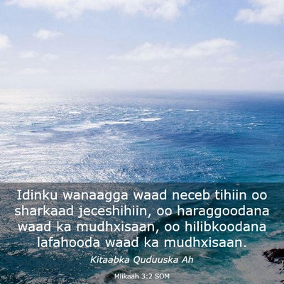 Picture 03 - Miikaah 3:2 SOM - Idinku wanaagga waad neceb tihiin oo sharkaad - Bible Verse Picture