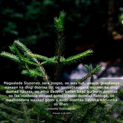 Picture 03 - Miikaah 4:13 SOM - Magaalada Siyoonay, sara joogso, oo wax tun, - Bible Verse Picture