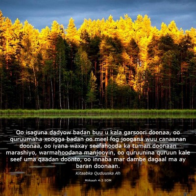 Picture 03 - Miikaah 4:3 SOM - Oo isaguna dadyow badan buu u kala garsoori - Bible Verse Picture