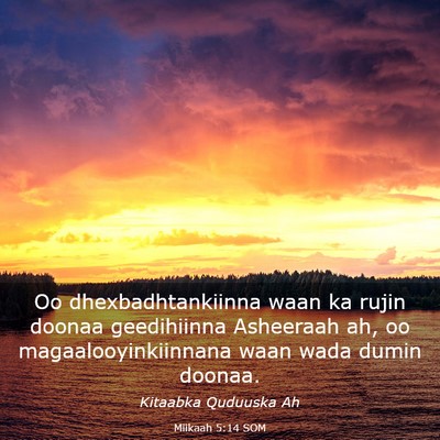Picture 03 - Miikaah 5:14 SOM - Oo dhexbadhtankiinna waan ka rujin doonaa - Bible Verse Picture