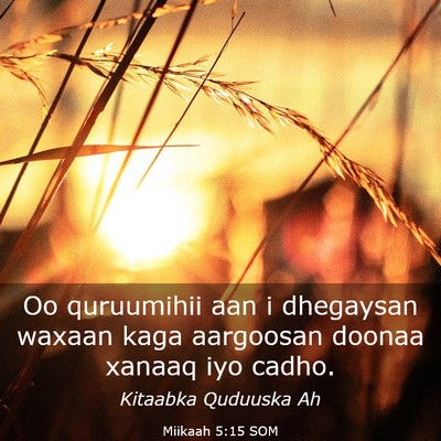 Picture 03 - Miikaah 5:15 SOM - Oo quruumihii aan i dhegaysan waxaan kaga - Bible Verse Picture