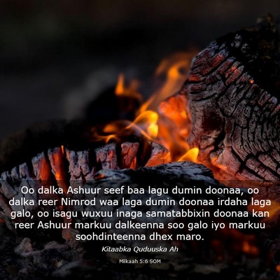 Picture 03 - Miikaah 5:6 SOM - Oo dalka Ashuur seef baa lagu dumin doonaa, oo - Bible Verse Picture
