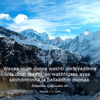 Picture 03 - Miikaah 7:11 SOM - Waxaa iman doona wakhti derbiyadiinna la dhisi - Bible Verse Picture