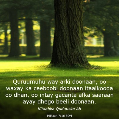 Picture 03 - Miikaah 7:16 SOM - Quruumuhu way arki doonaan, oo waxay ka ceeboobi - Bible Verse Picture