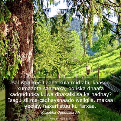 Picture 03 - Miikaah 7:18 SOM - Bal waa kee Ilaaha kula mid ahi, kaasoo xumaanta - Bible Verse Picture