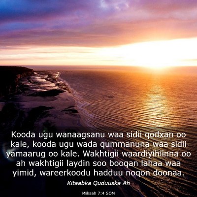 Picture 03 - Miikaah 7:4 SOM - Kooda ugu wanaagsanu waa sidii qodxan oo kale, - Bible Verse Picture