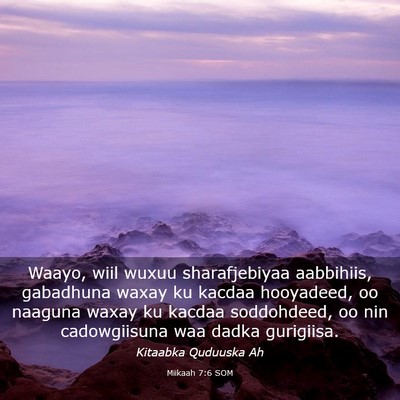 Picture 03 - Miikaah 7:6 SOM - Waayo, wiil wuxuu sharafjebiyaa aabbihiis, - Bible Verse Picture