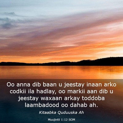 Picture 03 - Muujintii 1:12 SOM - Oo anna dib baan u jeestay inaan arko codkii ila - Bible Verse Picture