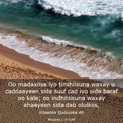 Picture 03 - Muujintii 1:14 SOM - Oo madaxiisa iyo timihiisuna waxay u caddaayeen - Bible Verse Picture