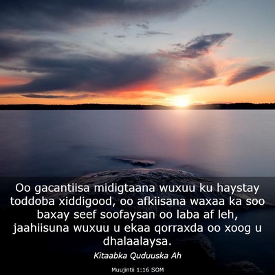 Picture 03 - Muujintii 1:16 SOM - Oo gacantiisa midigtaana wuxuu ku haystay toddoba - Bible Verse Picture