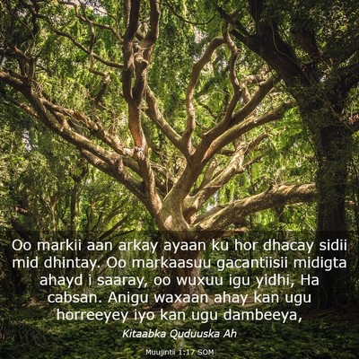 Picture 03 - Muujintii 1:17 SOM - Oo markii aan arkay ayaan ku hor dhacay sidii mid - Bible Verse Picture