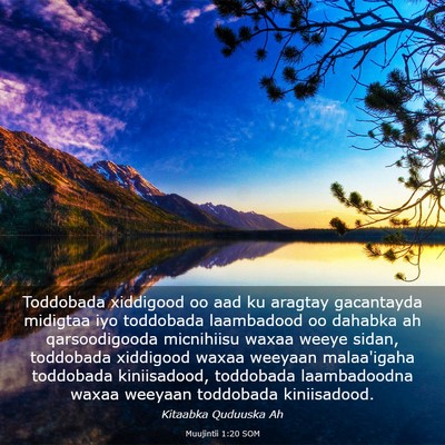 Picture 03 - Muujintii 1:20 SOM - Toddobada xiddigood oo aad ku aragtay gacantayda - Bible Verse Picture