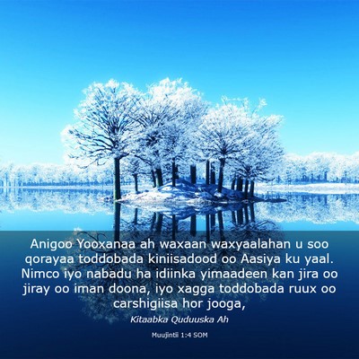 Picture 03 - Muujintii 1:4 SOM - Anigoo Yooxanaa ah waxaan waxyaalahan u soo - Bible Verse Picture