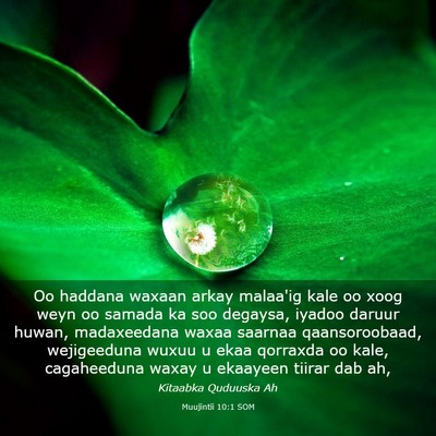 Picture 03 - Muujintii 10:1 SOM - Oo haddana waxaan arkay malaa'ig kale oo xoog - Bible Verse Picture
