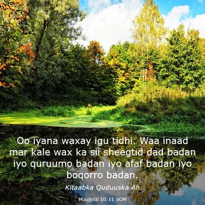 Picture 03 - Muujintii 10:11 SOM - Oo iyana waxay igu tidhi. Waa inaad mar kale wax - Bible Verse Picture