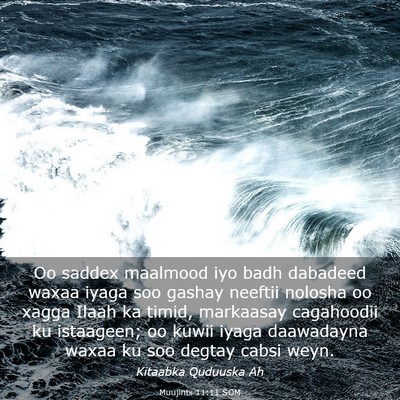 Picture 03 - Muujintii 11:11 SOM - Oo saddex maalmood iyo badh dabadeed waxaa iyaga - Bible Verse Picture