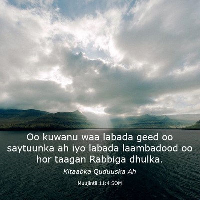 Picture 03 - Muujintii 11:4 SOM - Oo kuwanu waa labada geed oo saytuunka ah iyo - Bible Verse Picture