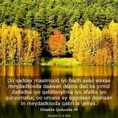 Picture 03 - Muujintii 11:9 SOM - Oo saddex maalmood iyo badh ayaa waxaa - Bible Verse Picture