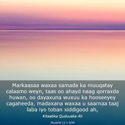Picture 03 - Muujintii 12:1 SOM - Markaasaa waxaa samada ka muuqatay calaamo weyn, - Bible Verse Picture