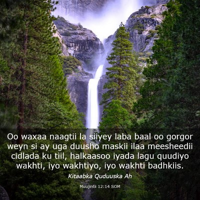 Picture 03 - Muujintii 12:14 SOM - Oo waxaa naagtii la siiyey laba baal oo gorgor - Bible Verse Picture