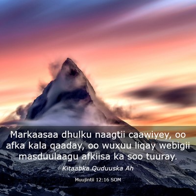 Picture 03 - Muujintii 12:16 SOM - Markaasaa dhulku naagtii caawiyey, oo afka kala - Bible Verse Picture