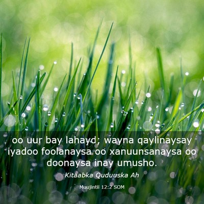 Picture 03 - Muujintii 12:2 SOM - oo uur bay lahayd; wayna qaylinaysay iyadoo - Bible Verse Picture