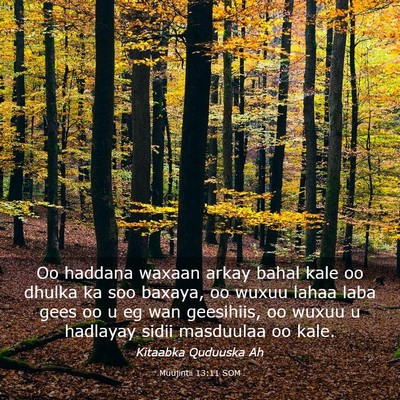 Picture 03 - Muujintii 13:11 SOM - Oo haddana waxaan arkay bahal kale oo dhulka ka - Bible Verse Picture