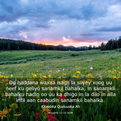 Picture 03 - Muujintii 13:15 SOM - Oo haddana waxaa isagii la siiyey xoog uu neef ku - Bible Verse Picture