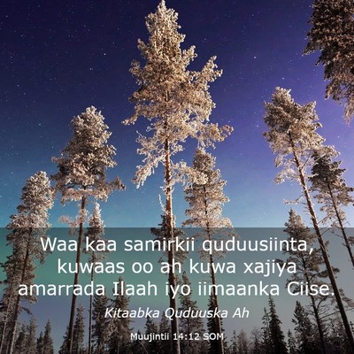 Picture 03 - Muujintii 14:12 SOM - Waa kaa samirkii quduusiinta, kuwaas oo ah kuwa - Bible Verse Picture