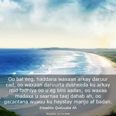 Picture 03 - Muujintii 14:14 SOM - Oo bal eeg, haddana waxaan arkay daruur cad, oo - Bible Verse Picture