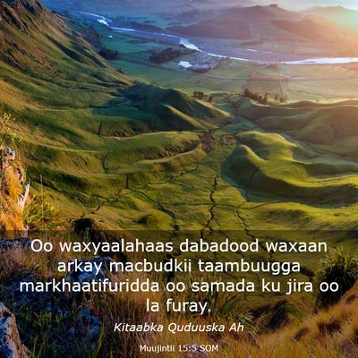 Picture 03 - Muujintii 15:5 SOM - Oo waxyaalahaas dabadood waxaan arkay macbudkii - Bible Verse Picture