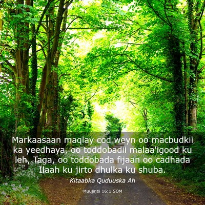 Picture 03 - Muujintii 16:1 SOM - Markaasaan maqlay cod weyn oo macbudkii ka - Bible Verse Picture