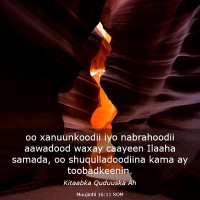 Picture 03 - Muujintii 16:11 SOM - oo xanuunkoodii iyo nabrahoodii aawadood waxay - Bible Verse Picture