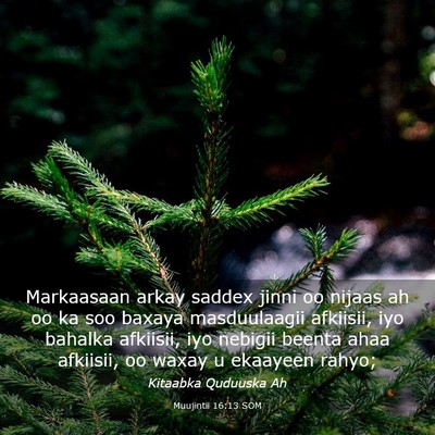 Picture 03 - Muujintii 16:13 SOM - Markaasaan arkay saddex jinni oo nijaas ah oo ka - Bible Verse Picture