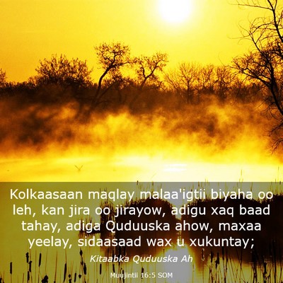 Picture 03 - Muujintii 16:5 SOM - Kolkaasaan maqlay malaa'igtii biyaha oo leh, kan - Bible Verse Picture