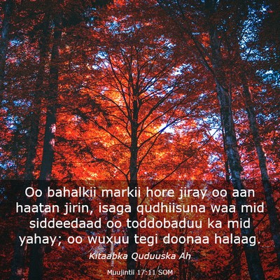 Picture 03 - Muujintii 17:11 SOM - Oo bahalkii markii hore jiray oo aan haatan - Bible Verse Picture