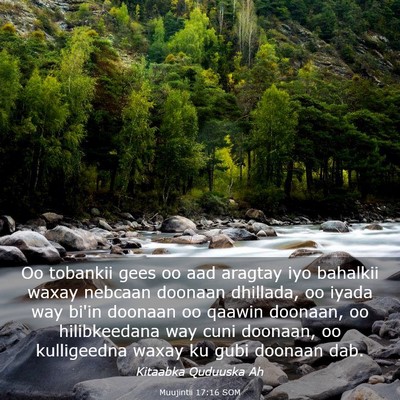 Picture 03 - Muujintii 17:16 SOM - Oo tobankii gees oo aad aragtay iyo bahalkii - Bible Verse Picture