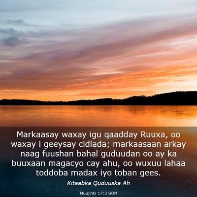 Picture 03 - Muujintii 17:3 SOM - Markaasay waxay igu qaadday Ruuxa, oo waxay i - Bible Verse Picture