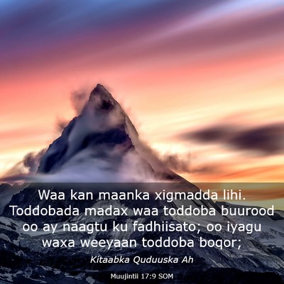 Picture 03 - Muujintii 17:9 SOM - Waa kan maanka xigmadda lihi. Toddobada madax waa - Bible Verse Picture