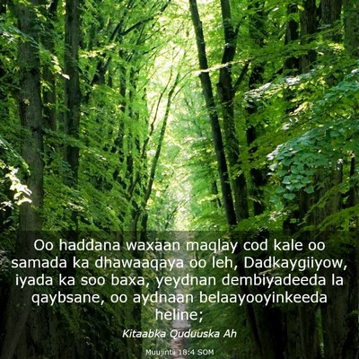 Picture 03 - Muujintii 18:4 SOM - Oo haddana waxaan maqlay cod kale oo samada ka - Bible Verse Picture