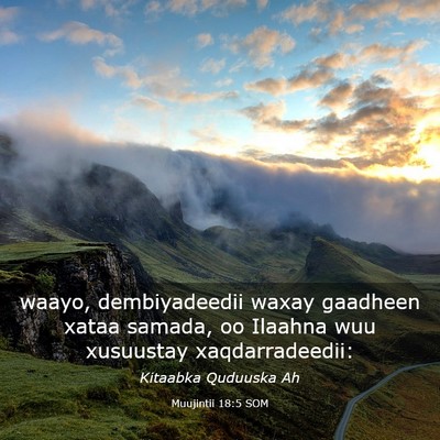 Picture 03 - Muujintii 18:5 SOM - waayo, dembiyadeedii waxay gaadheen xataa samada, - Bible Verse Picture